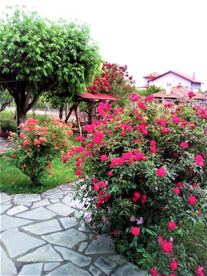 Villa Jenny Leptokarya (Pieria) Exterior foto