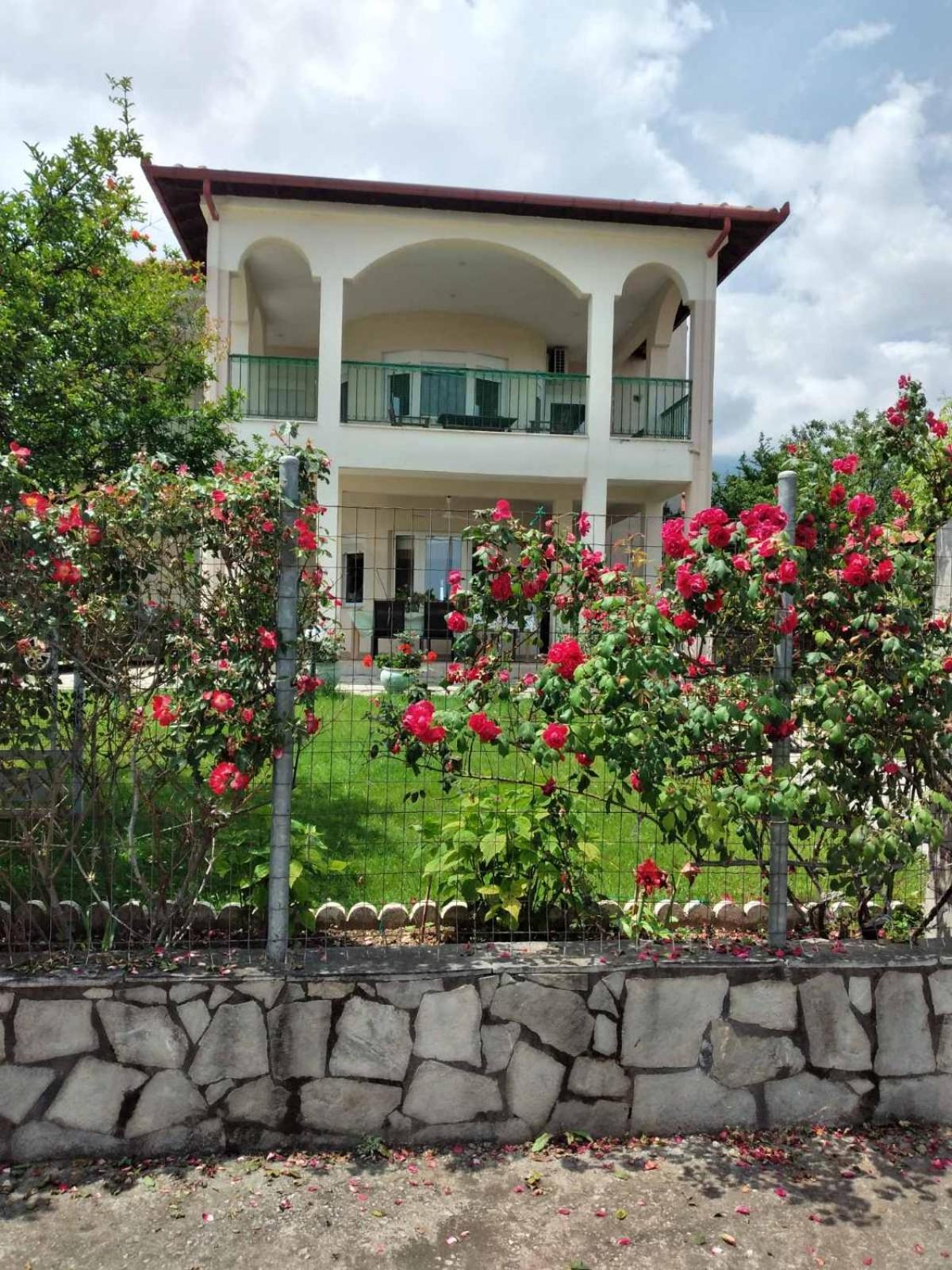Villa Jenny Leptokarya (Pieria) Exterior foto