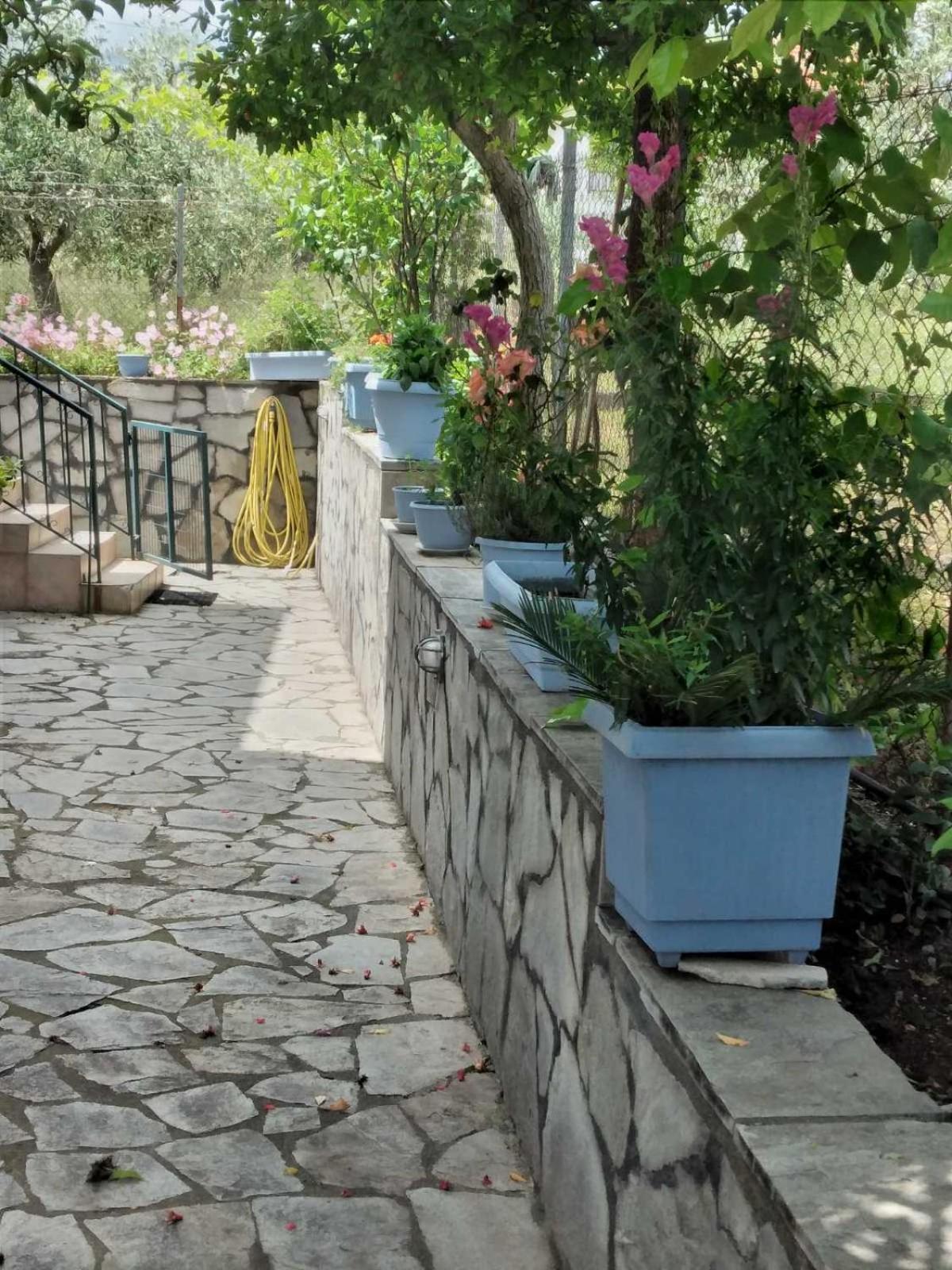 Villa Jenny Leptokarya (Pieria) Exterior foto