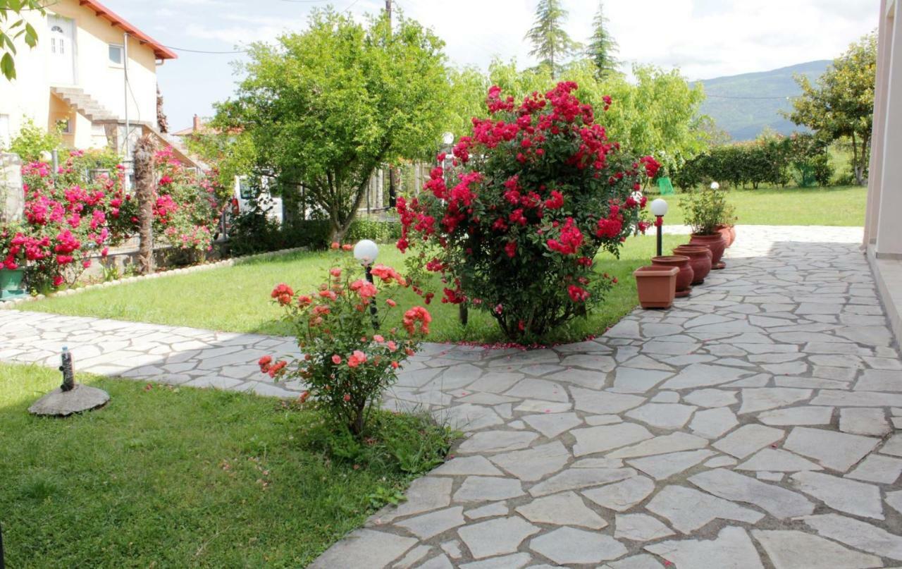 Villa Jenny Leptokarya (Pieria) Exterior foto